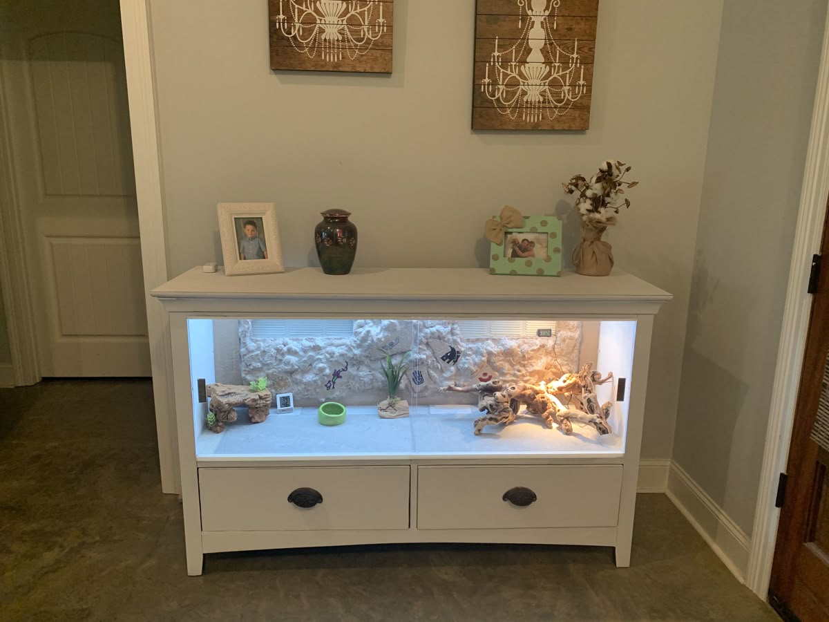 Reptile enclosure setup